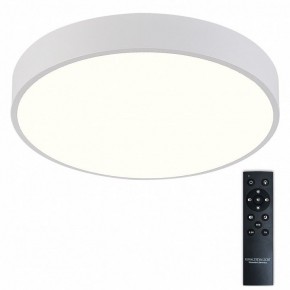 Накладной светильник Natali Kovaltseva  LED LAMPS 81112/5C в Нягани - nyagan.ok-mebel.com | фото 2
