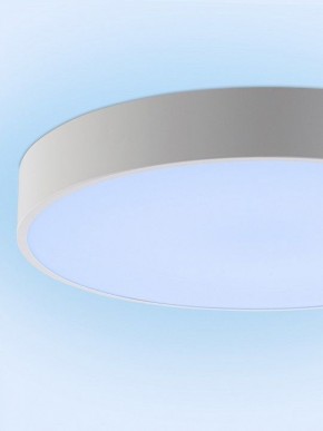 Накладной светильник Natali Kovaltseva MODERN LED LAMPS 81105/1C в Нягани - nyagan.ok-mebel.com | фото 11