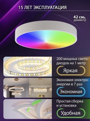 Накладной светильник Natali Kovaltseva MODERN LED LAMPS 81105/1C в Нягани - nyagan.ok-mebel.com | фото 6