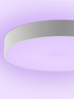 Накладной светильник Natali Kovaltseva MODERN LED LAMPS 81105/1C в Нягани - nyagan.ok-mebel.com | фото 9