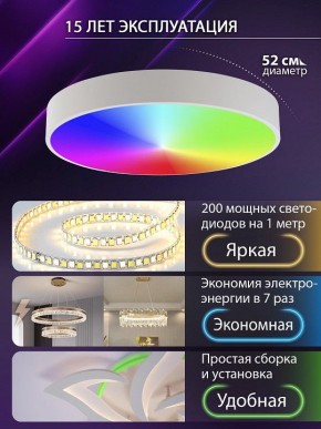 Накладной светильник Natali Kovaltseva MODERN LED LAMPS 81105/2C в Нягани - nyagan.ok-mebel.com | фото 6