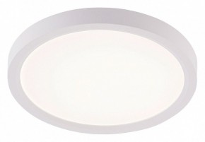 Накладной светильник Natali Kovaltseva PLAIN LED LAMPS 81113/1C в Нягани - nyagan.ok-mebel.com | фото