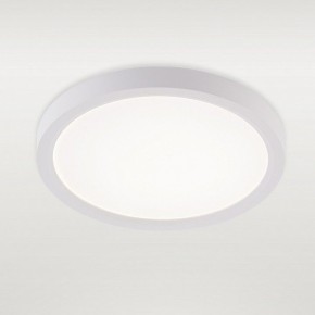 Накладной светильник Natali Kovaltseva PLAIN LED LAMPS 81113/1C в Нягани - nyagan.ok-mebel.com | фото 2