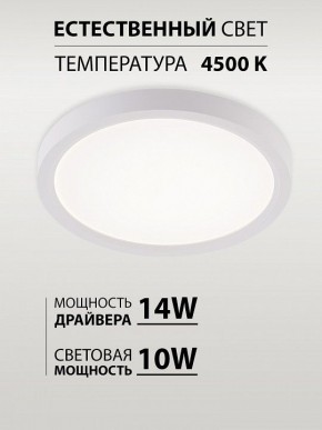 Накладной светильник Natali Kovaltseva PLAIN LED LAMPS 81113/1C в Нягани - nyagan.ok-mebel.com | фото 4