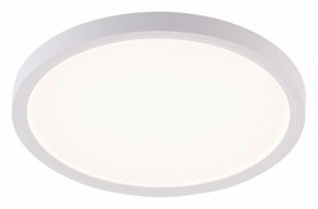 Накладной светильник Natali Kovaltseva PLAIN LED LAMPS 81113/2C в Нягани - nyagan.ok-mebel.com | фото