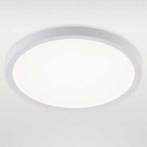 Накладной светильник Natali Kovaltseva PLAIN LED LAMPS 81113/2C в Нягани - nyagan.ok-mebel.com | фото 2