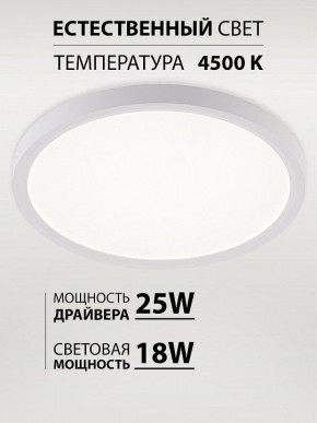 Накладной светильник Natali Kovaltseva PLAIN LED LAMPS 81113/2C в Нягани - nyagan.ok-mebel.com | фото 3