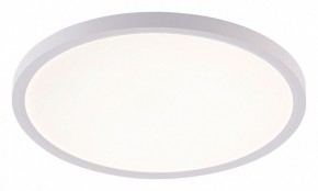 Накладной светильник Natali Kovaltseva PLAIN LED LAMPS 81113/3C в Нягани - nyagan.ok-mebel.com | фото