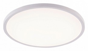 Накладной светильник Natali Kovaltseva PLAIN LED LAMPS 81113/5C в Нягани - nyagan.ok-mebel.com | фото