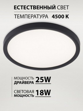 Накладной светильник Natali Kovaltseva PLAIN LED LAMPS 81114/2C в Нягани - nyagan.ok-mebel.com | фото 3