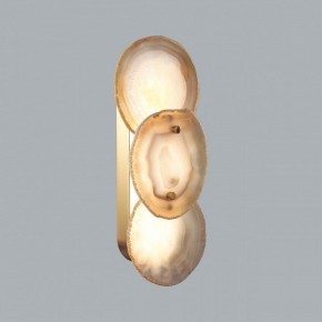 Накладной светильник Odeon Light Agate 7065/10WL в Нягани - nyagan.ok-mebel.com | фото 2