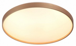 Накладной светильник Sonex Gaby 7783/EL в Нягани - nyagan.ok-mebel.com | фото 5