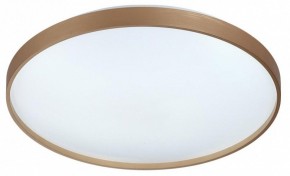 Накладной светильник Sonex Gaby 7783/EL в Нягани - nyagan.ok-mebel.com | фото 6