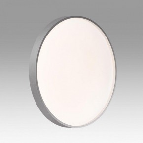 Накладной светильник Sonex Gaby 7784/DL в Нягани - nyagan.ok-mebel.com | фото 2