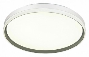 Накладной светильник Sonex Savi 7631/DL в Нягани - nyagan.ok-mebel.com | фото 5