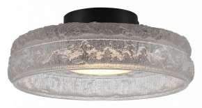 Накладной светильник ST-Luce ANTIKE SL6143.402.01 в Нягани - nyagan.ok-mebel.com | фото 2