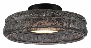 Накладной светильник ST-Luce ANTIKE SL6143.412.01 в Нягани - nyagan.ok-mebel.com | фото 2