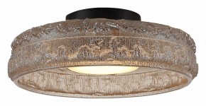 Накладной светильник ST-Luce ANTIKE SL6143.422.01 в Нягани - nyagan.ok-mebel.com | фото 3