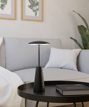 Настольная лампа декоративная Eglo PICCOLA 900925 в Нягани - nyagan.ok-mebel.com | фото 4