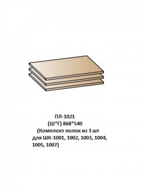 ПЛ-1021 (Комплект полок из 3 шт для ШК-1001, 1002, 1003, 1004, 1005, 1007) в Нягани - nyagan.ok-mebel.com | фото