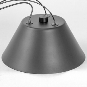 Подвесная люстра Lussole Hopkins LSP-7408 в Нягани - nyagan.ok-mebel.com | фото 7