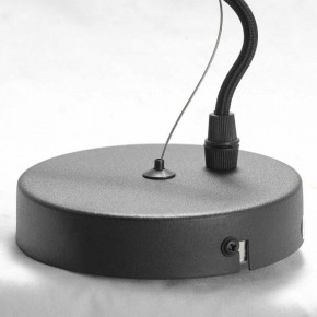 Подвесная люстра Lussole Huron LSP-8156 в Нягани - nyagan.ok-mebel.com | фото 7