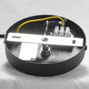 Подвесная люстра Lussole Huron LSP-8156 в Нягани - nyagan.ok-mebel.com | фото 8