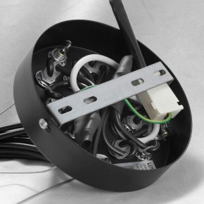 Подвесная люстра Lussole Seneca GRLSP-8177 в Нягани - nyagan.ok-mebel.com | фото 10