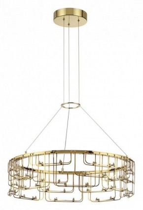 Подвесная люстра Odeon Light ZAHA 7060/44L в Нягани - nyagan.ok-mebel.com | фото 2