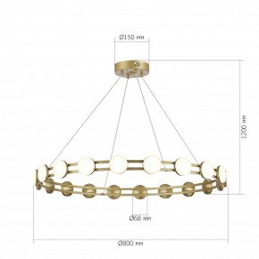 Подвесная люстра ST-Luce MONRO SL6610.203.20 в Нягани - nyagan.ok-mebel.com | фото 5