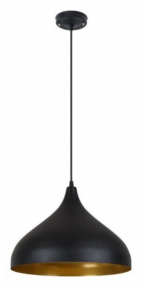 Подвесной светильник Arte Lamp Carmel A7076SP-1BK в Нягани - nyagan.ok-mebel.com | фото 2