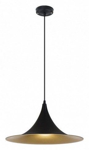 Подвесной светильник Arte Lamp Carmel A7080SP-1BK в Нягани - nyagan.ok-mebel.com | фото 2