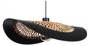 Подвесной светильник Arte Lamp Woodstock A7059SP-1BK в Нягани - nyagan.ok-mebel.com | фото