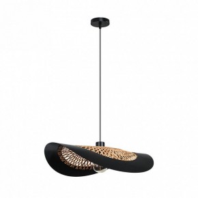 Подвесной светильник Arte Lamp Woodstock A7059SP-1BK в Нягани - nyagan.ok-mebel.com | фото 2