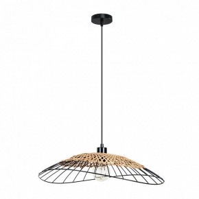 Подвесной светильник Arte Lamp Woodstock A7061SP-1BK в Нягани - nyagan.ok-mebel.com | фото 2