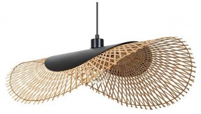 Подвесной светильник Arte Lamp Woodstock A7063SP-1BK в Нягани - nyagan.ok-mebel.com | фото