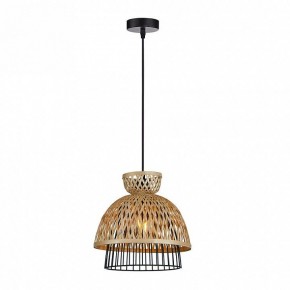 Подвесной светильник Arte Lamp Woodstock A7070SP-1BK в Нягани - nyagan.ok-mebel.com | фото