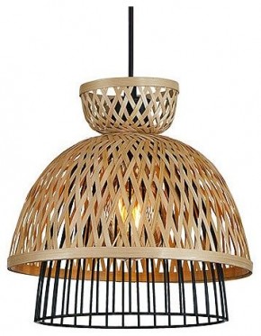 Подвесной светильник Arte Lamp Woodstock A7070SP-1BK в Нягани - nyagan.ok-mebel.com | фото 2