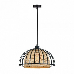 Подвесной светильник Arte Lamp Woodstock A7071SP-1BK в Нягани - nyagan.ok-mebel.com | фото