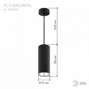 Подвесной светильник Эра  PL12 GX53 BK/SL в Нягани - nyagan.ok-mebel.com | фото 8