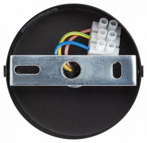Подвесной светильник Эра  PL12 GX53 BK/SL в Нягани - nyagan.ok-mebel.com | фото 9