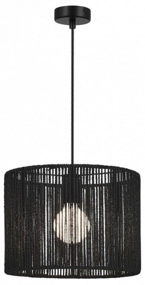 Подвесной светильник EVOLUCE ETTAN SLE6024-403-01 в Нягани - nyagan.ok-mebel.com | фото 2