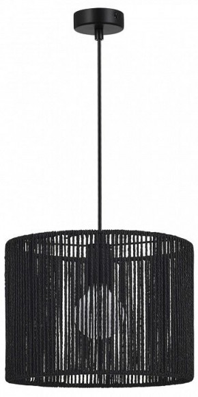 Подвесной светильник EVOLUCE ETTAN SLE6024-403-01 в Нягани - nyagan.ok-mebel.com | фото 4