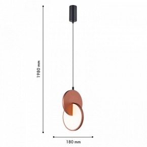 Подвесной светильник F-promo Grahan 4607-1P в Нягани - nyagan.ok-mebel.com | фото 5