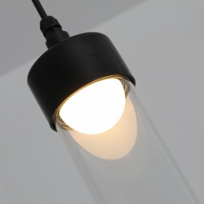 Подвесной светильник Favourite Outdoor 4702-1P в Нягани - nyagan.ok-mebel.com | фото 7