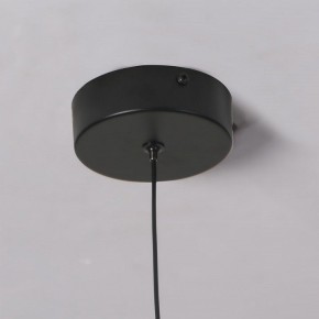 Подвесной светильник Favourite Wilet 4656-1P в Нягани - nyagan.ok-mebel.com | фото 10