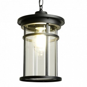 Подвесной светильник Feron PL765 51819 в Нягани - nyagan.ok-mebel.com | фото 3