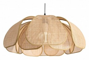 Подвесной светильник Freya Cocoon FR5529PL-01B в Нягани - nyagan.ok-mebel.com | фото