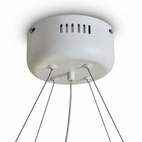 Подвесной светильник Freya Rain FR5546PL-L60W в Нягани - nyagan.ok-mebel.com | фото 9