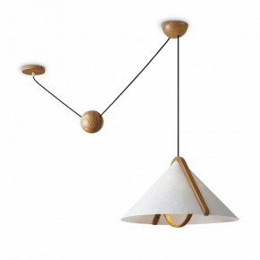 Подвесной светильник Freya Umbra FR5554CL-01T в Нягани - nyagan.ok-mebel.com | фото 2